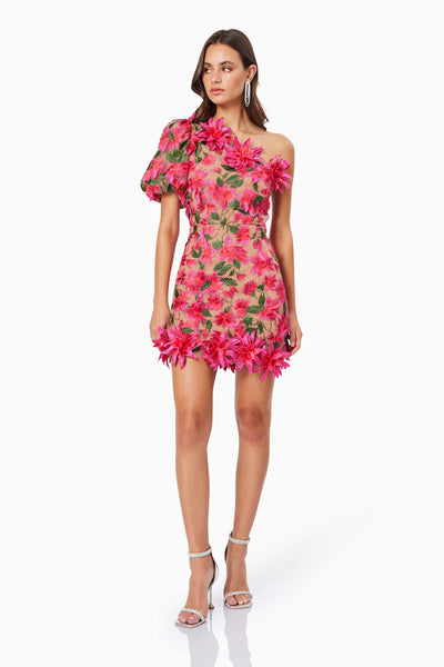 Elliat - Valentina One Shoulder Dress - Pink Multi