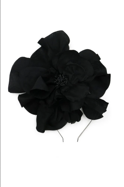 Morgan & Taylor - Black Cindy Fascinator FS400