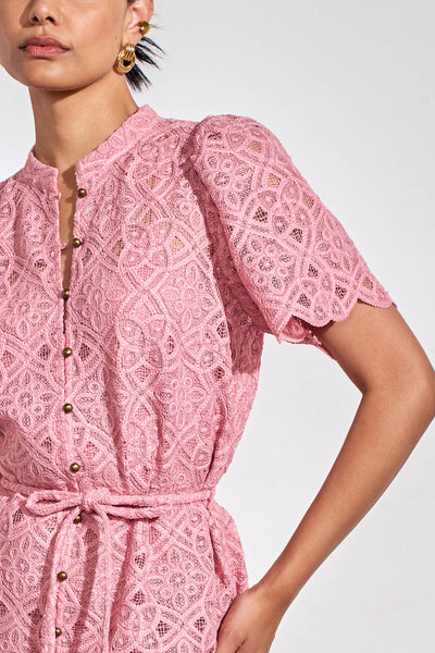 Zoe Kratzmann - Glow Dress - Azalea