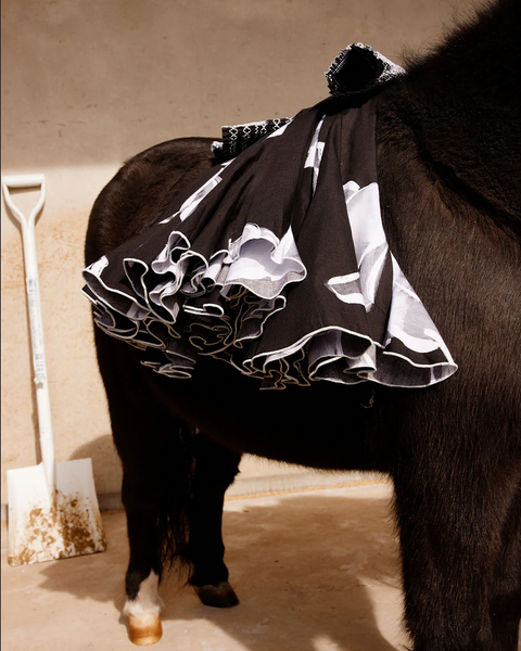 Binny - DERBY - Cotton Poplin Dress - Black Stallions